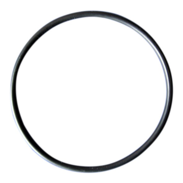 O-Ring für Vorfilterdeckel ITT Pumpe von Rubin